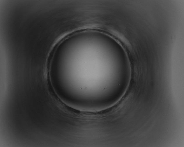 X0000100391316200806061246