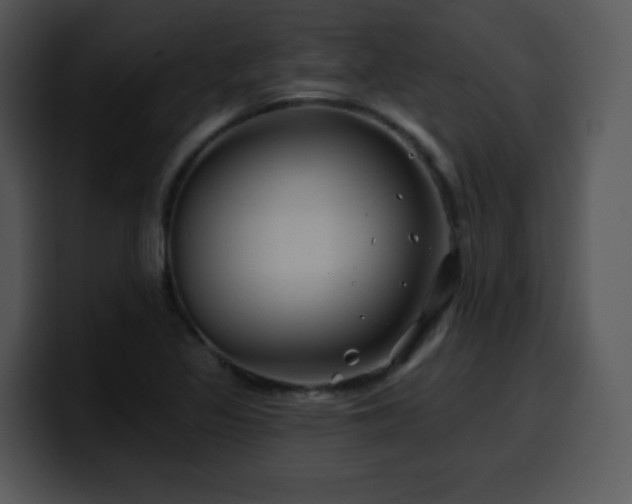 X0000100391317200806061246