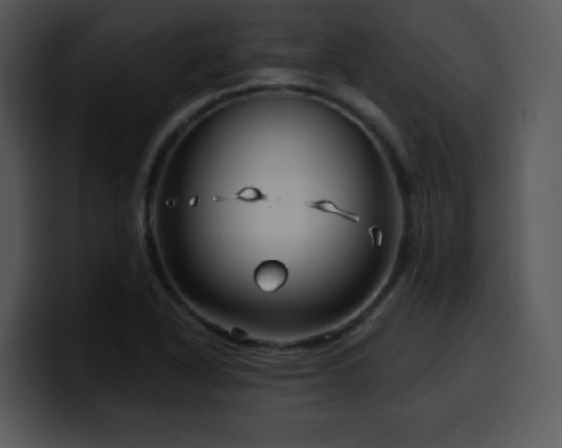 X0000100391318200806061246