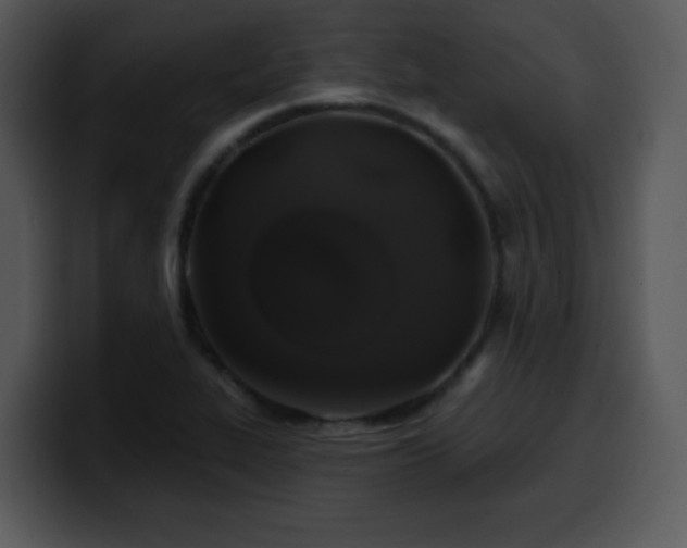 X0000100391319200806061246