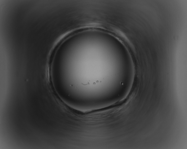X0000100391320200806061246
