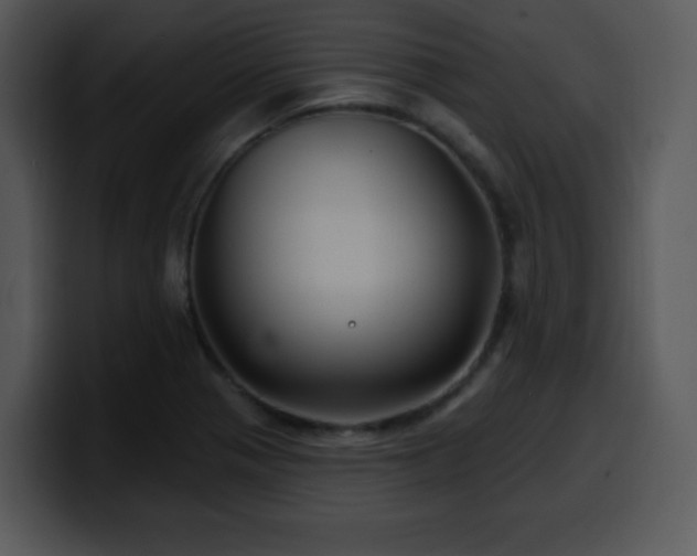 X0000100391321200806061246