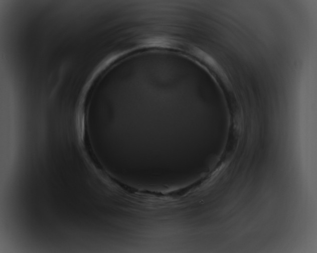 X0000100391323200806061246