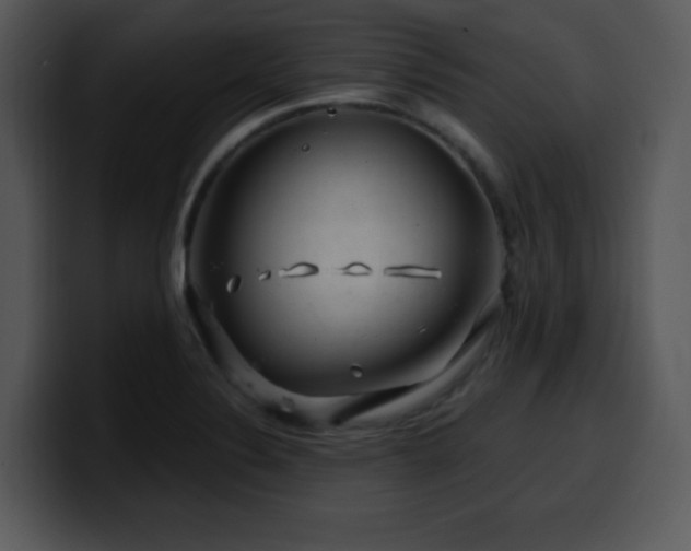 X0000100391324200806061246