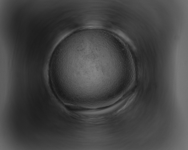 X0000100391325200806061246