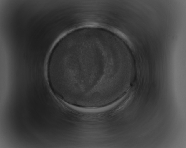 X0000100391326200806061246