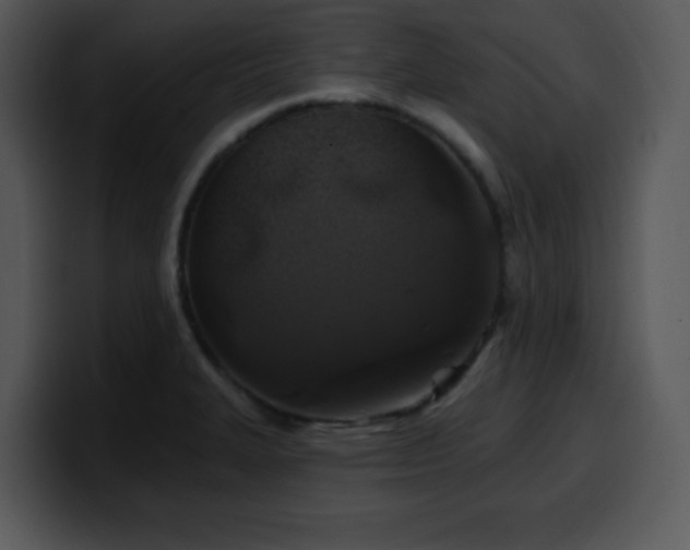 X0000100391327200806061246