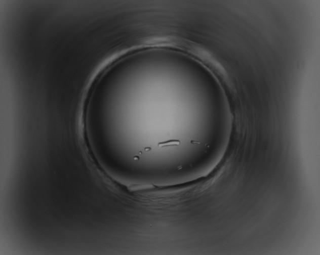 X0000100391328200806061246