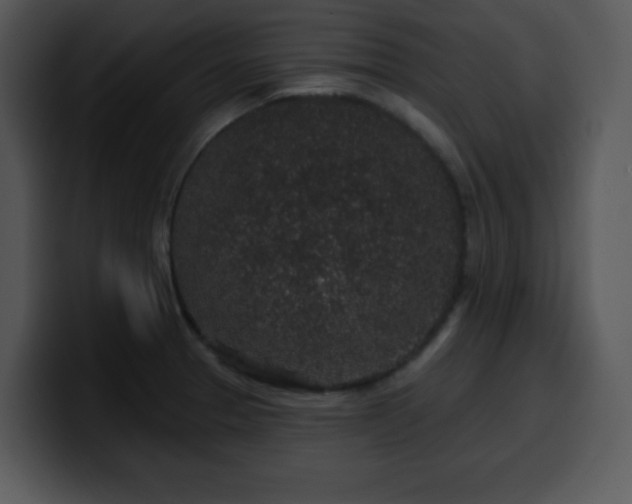 X0000100391329200806061246