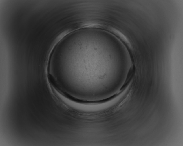 X0000100391330200806061246