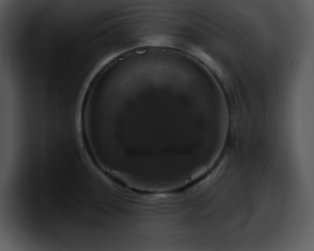 X0000100391331200806061246
