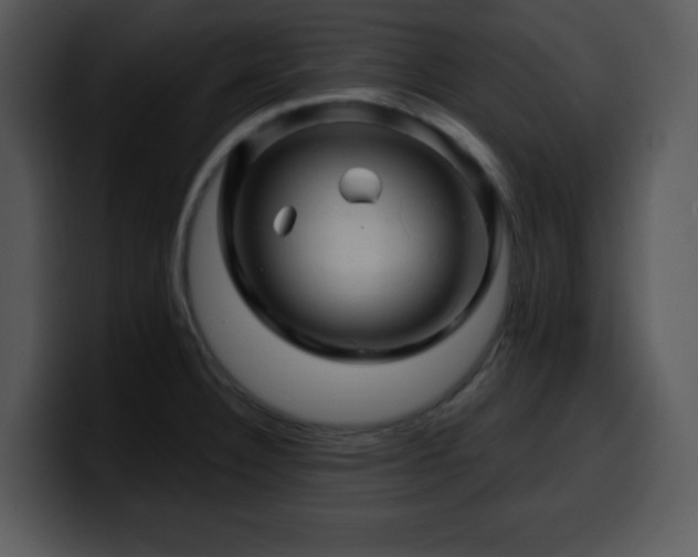 X0000100391332200806061246
