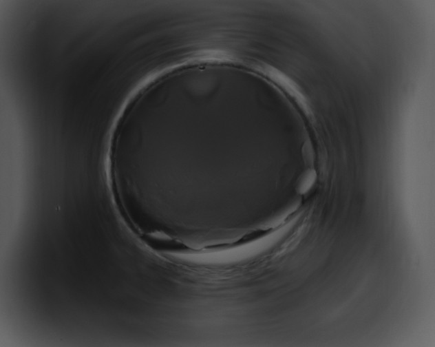 X0000100391334200806061246