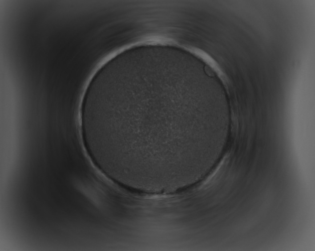 X0000100391335200806061246