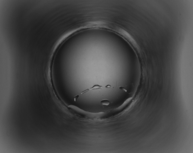 X0000100391336200806061246