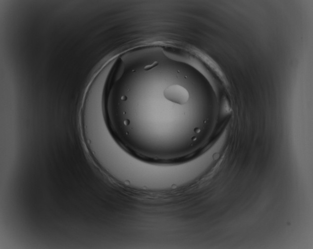 X0000100391338200806061246