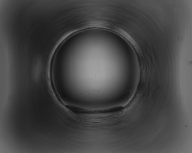 X0000100391339200806061246