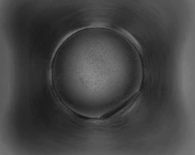 X0000100391340200806061246