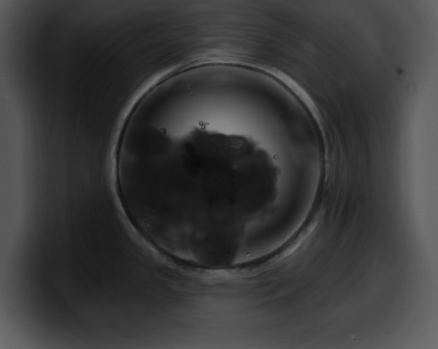X0000100391341200806061246