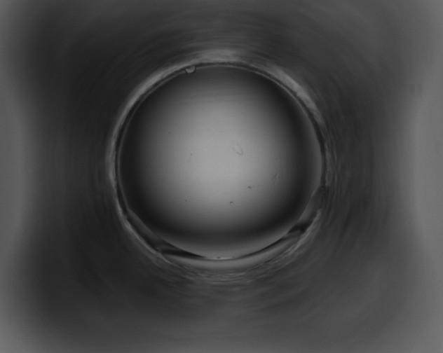 X0000100391342200806061246