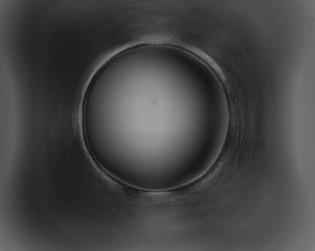 X0000100391343200806061246