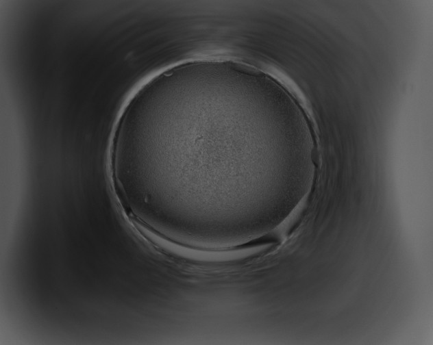 X0000100391344200806061246