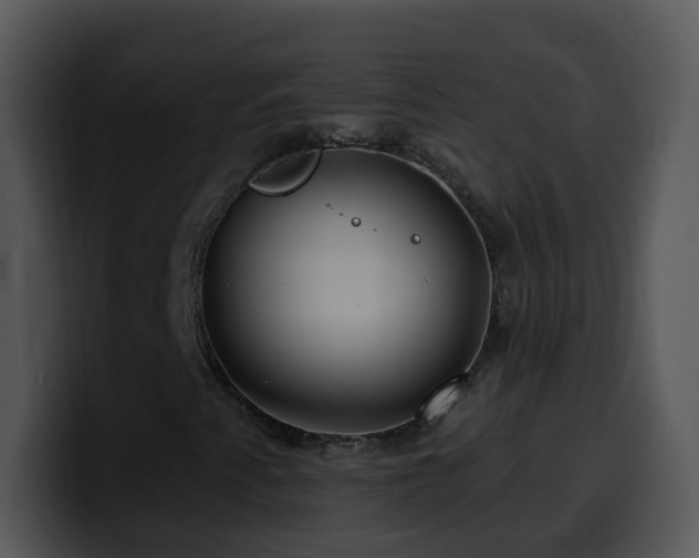 X0000100391345200806061246