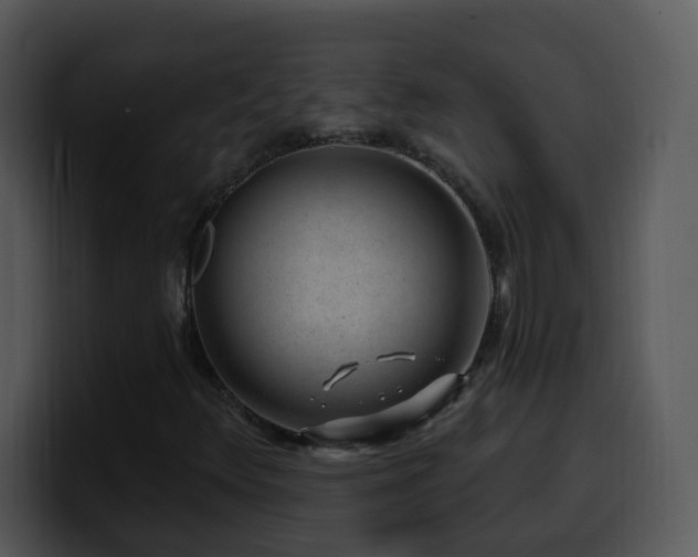 X0000100391348200806061245