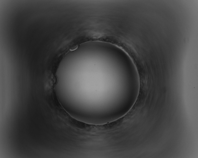 X0000100391349200806061245