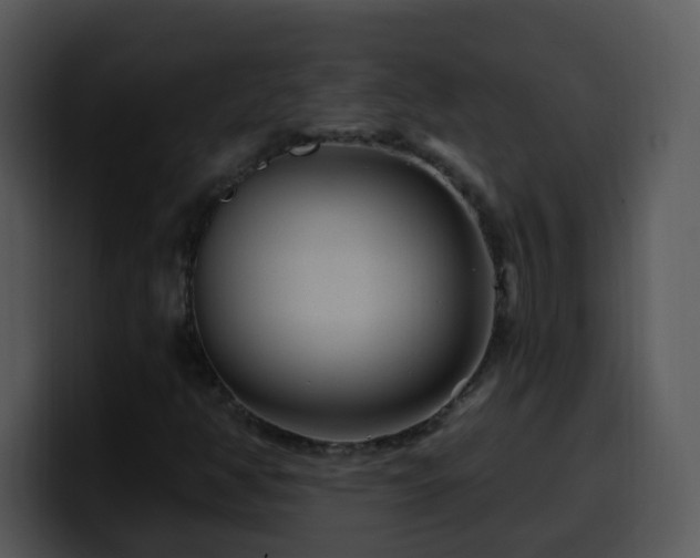 X0000100391350200806061245