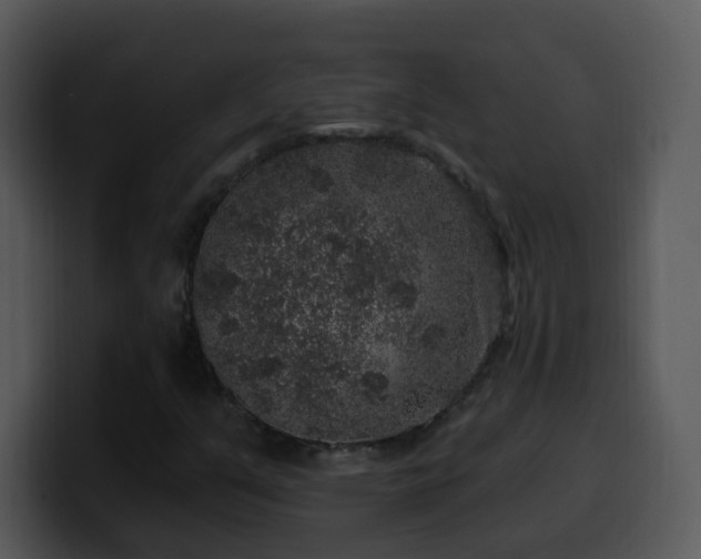 X0000100391351200806061245