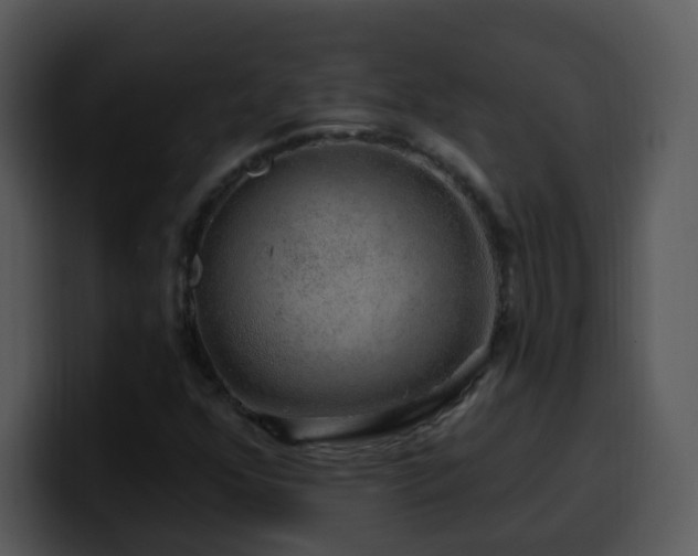 X0000100391352200806061245