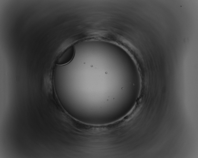X0000100391354200806061245
