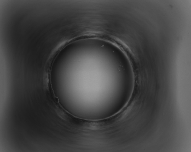 X0000100391355200806061245