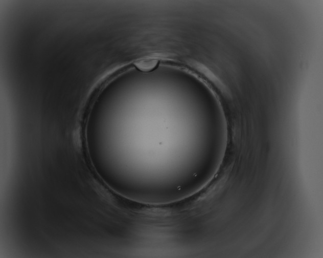 X0000100391356200806061245