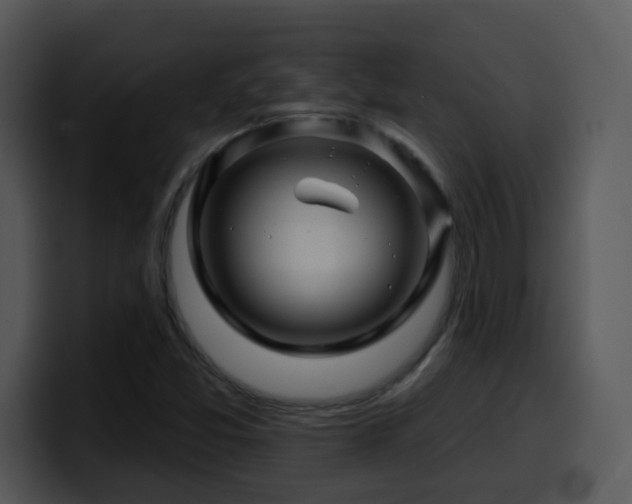 X0000100391357200806061245