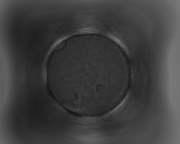 X0000100391358200806061245