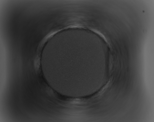 X0000100391359200806061245