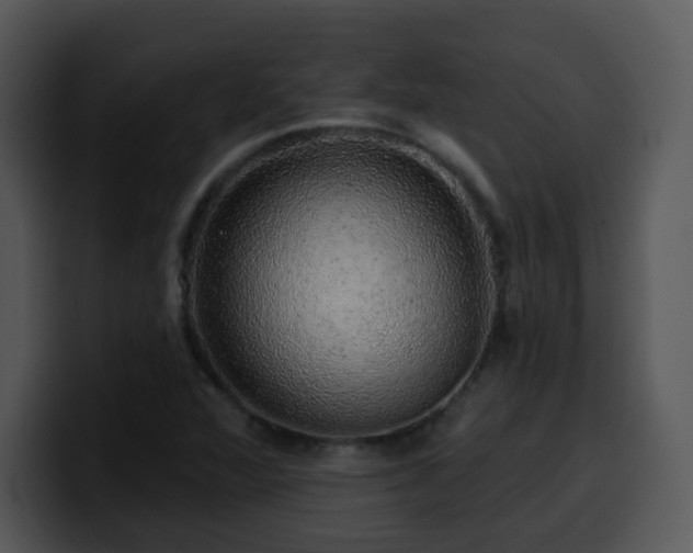 X0000100391360200806061245