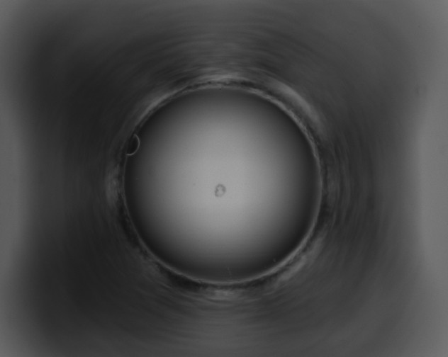 X0000100391361200806061245