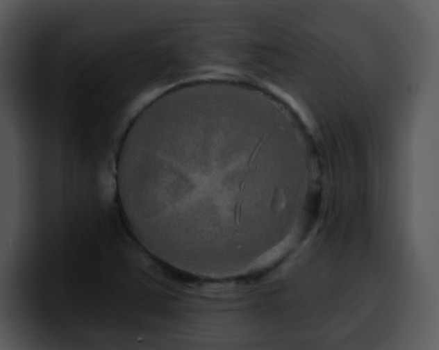 X0000100391363200806061245