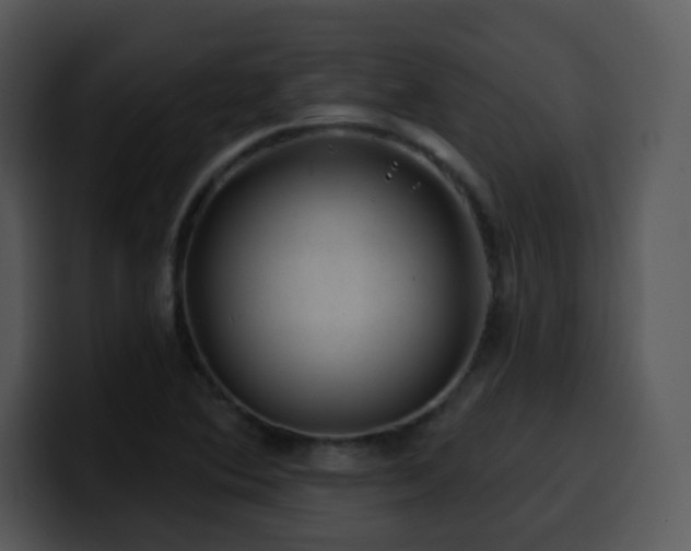 X0000100391364200806061245