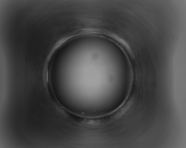 X0000100391365200806061245