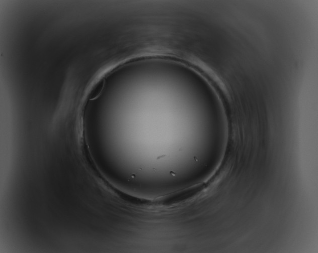 X0000100391366200806061245