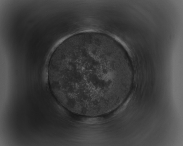 X0000100391367200806061245