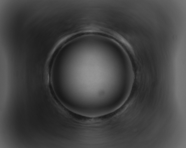X0000100391368200806061245