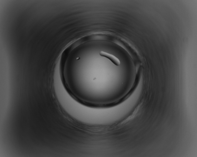 X0000100391369200806061245