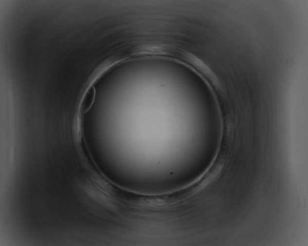 X0000100391370200806061245