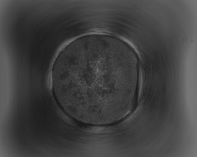 X0000100391371200806061245