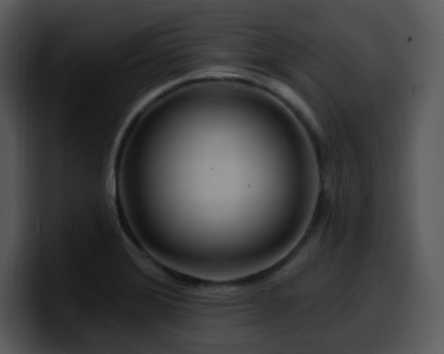 X0000100391372200806061245